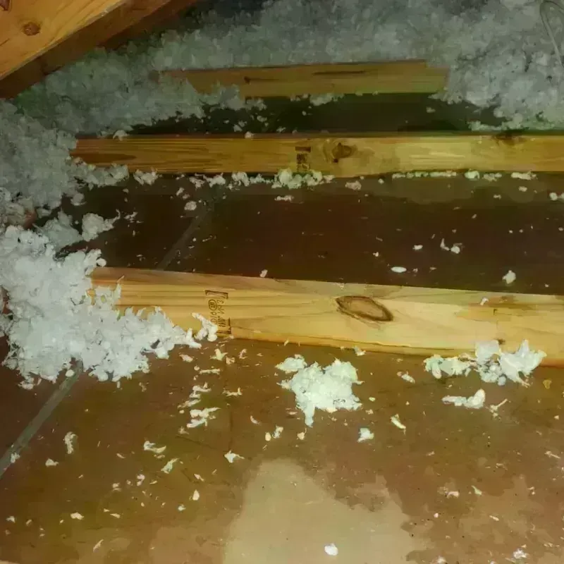 Attic Water Damage in Longwood, FL