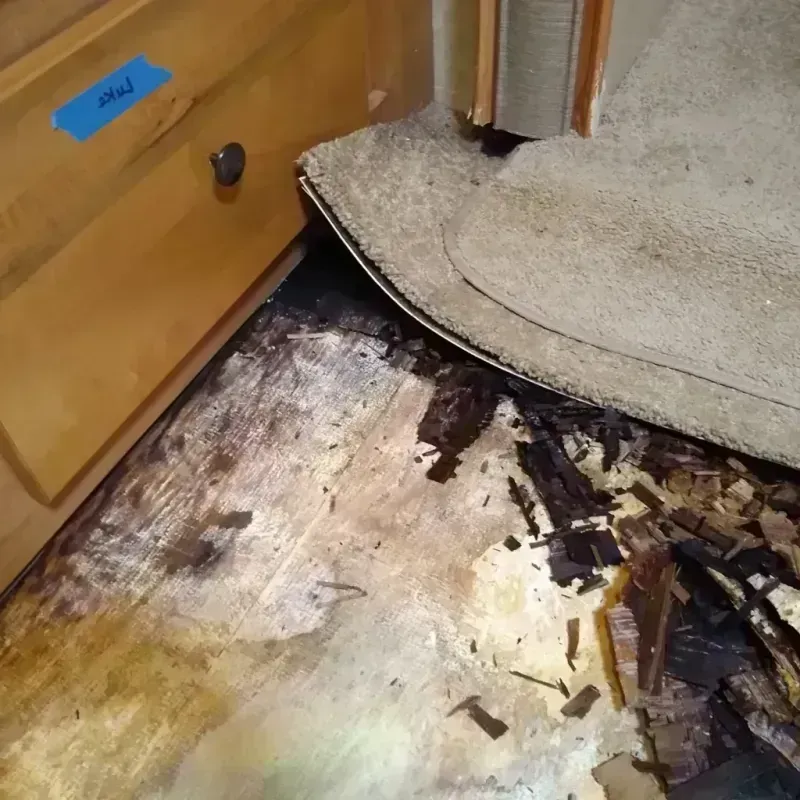 Wood Floor Water Damage in Longwood, FL